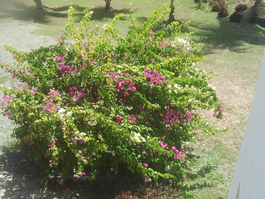 Apartamento Tobago Tranquil Apt. Guest House Buccoo