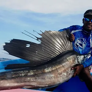 Guest house Fish Tobago, Buccoo